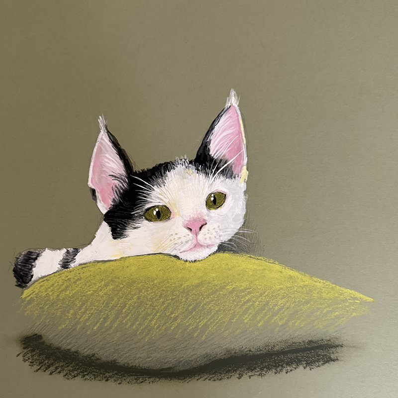 브랜드 메인 이미지