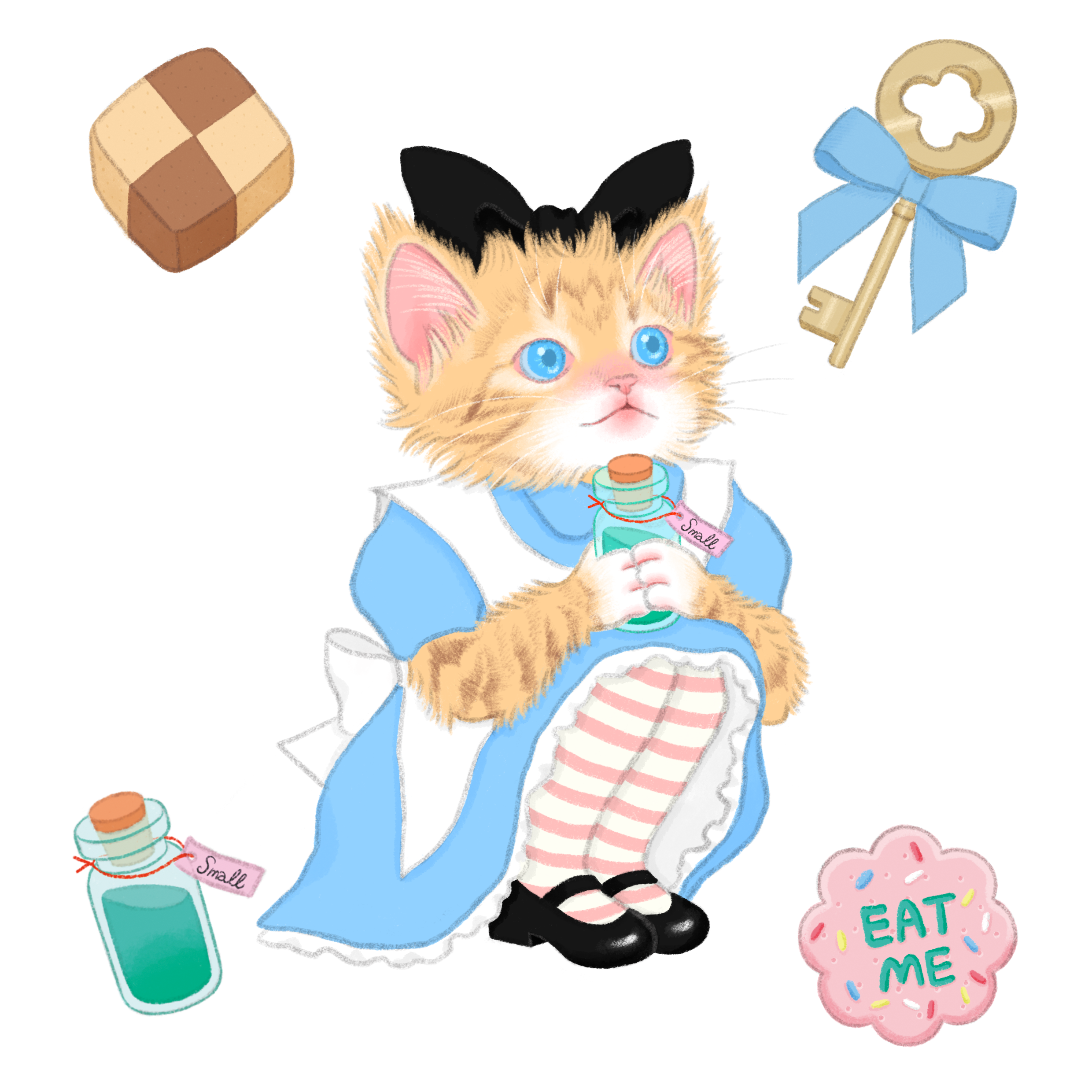 브랜드 메인 이미지