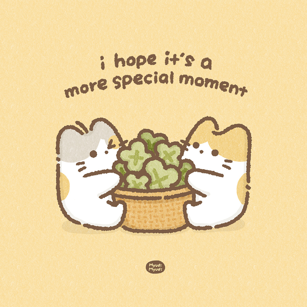 브랜드 메인 이미지