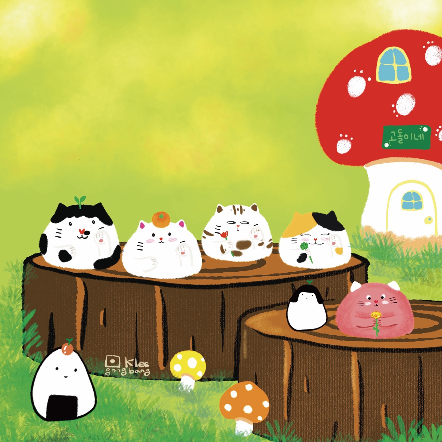 브랜드 메인 이미지